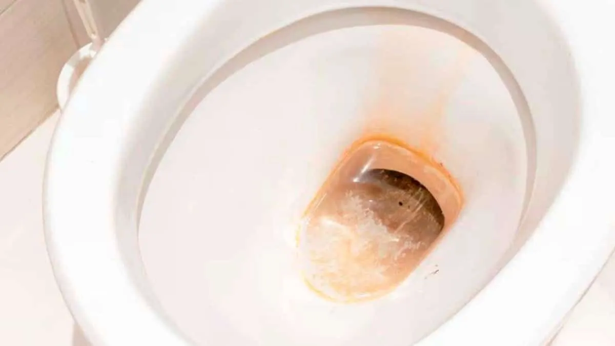 Soluciones ecológicas para combatir la cal en casa