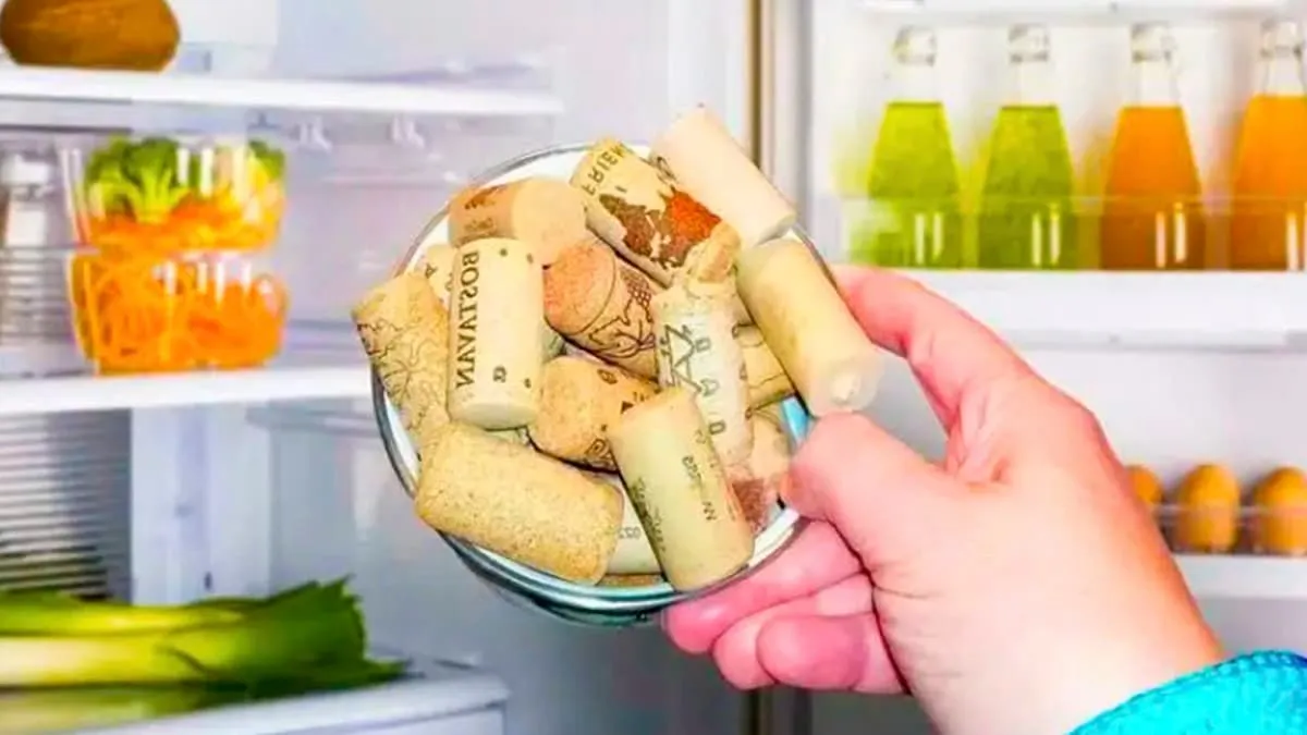 El poder del corcho en la cocina: una solución natural para el refrigerador
