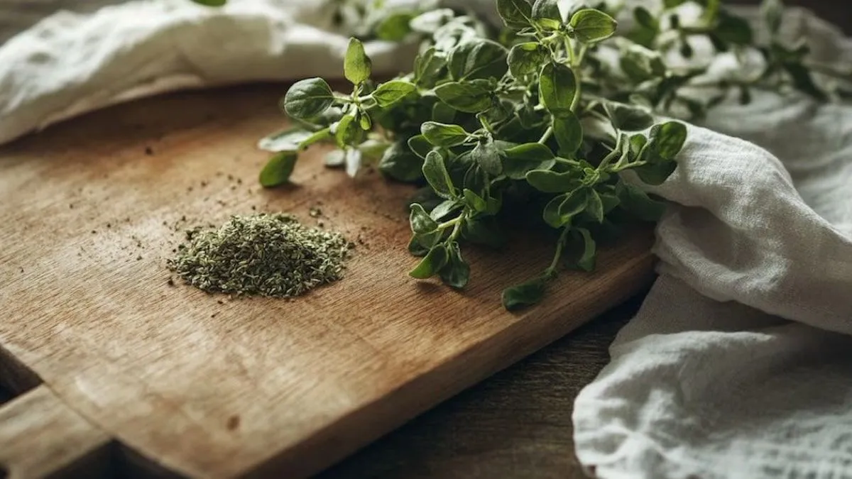 Descubre los beneficios del orégano para la salud