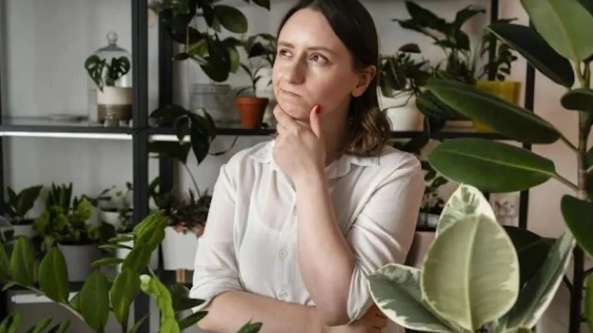 Innovación en el riego: conos de cerámica para cuidar tus plantas de forma autónoma