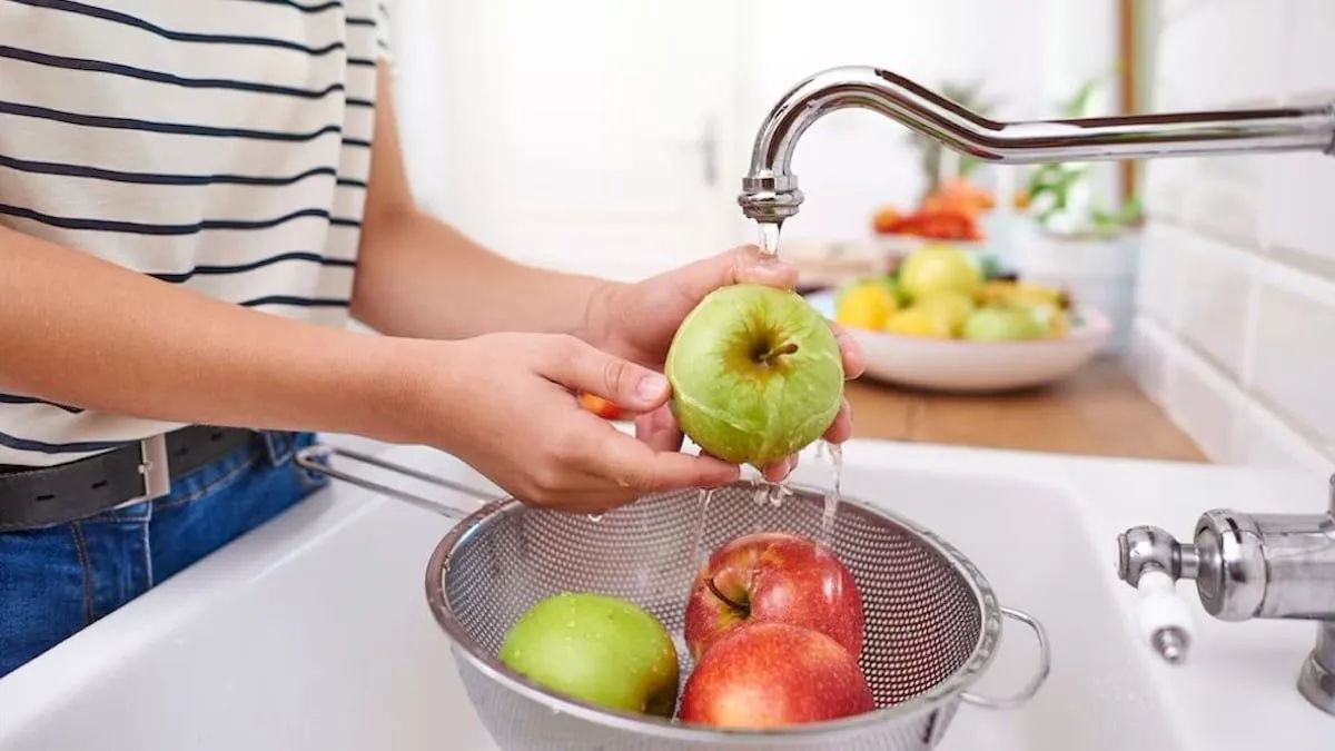 La importancia oculta de los alimentos cotidianos